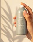 travel spray
